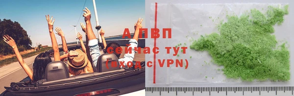 индика Дмитриев