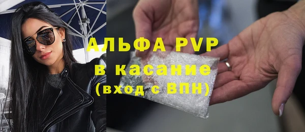 гашик Гусев