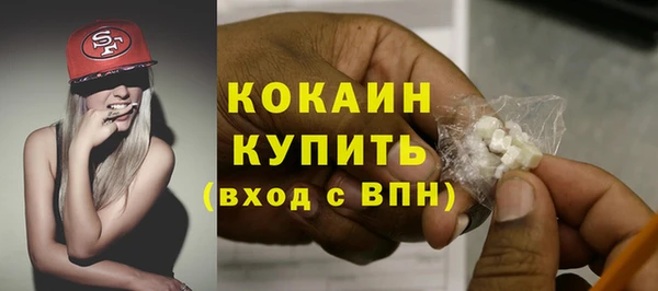 индика Дмитриев
