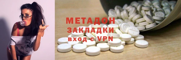 индика Дмитриев
