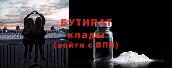 индика Дмитриев