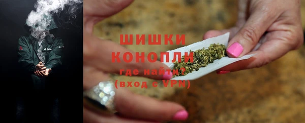 гашик Гусев