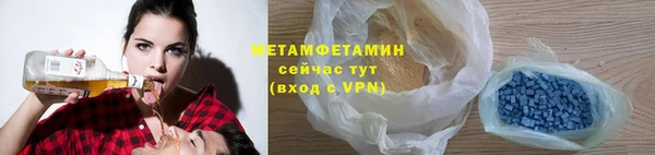 индика Дмитриев