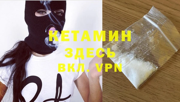 индика Дмитриев
