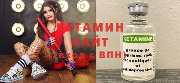 индика Дмитриев