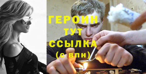 индика Дмитриев
