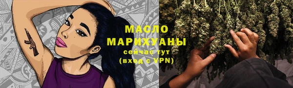 гашик Гусев