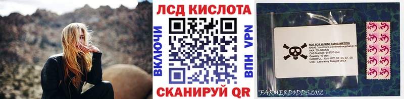 Марки N-bome 1500мкг Купить закладки Мураши