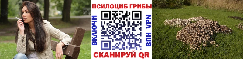 Купить закладки  Мураши  Галлюциногенные грибы мухоморы 