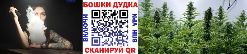 Марихуана Bruce Banner Купить закладки Мураши